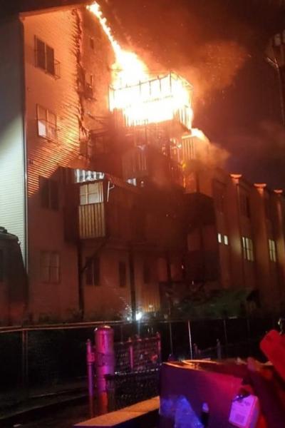 242345636 4866444830049513 1354092487443181382 N