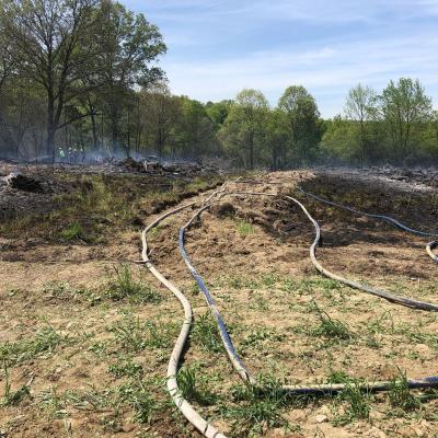 98276404 3429310607096283 910749348420124672 N